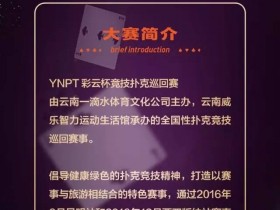 YNPT彩云杯线上热身赛尽在蜗牛,588美金奖励+门票！