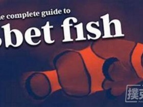 【蜗牛扑克】德州扑克如何用正确的3bet范围对抗鱼玩家