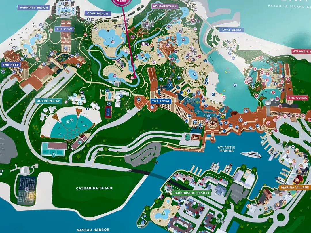 【EV扑克】Triton_Bahamas_x_WSOP_Paradise_2025：高额扑克今年12月邂逅海岛奢华